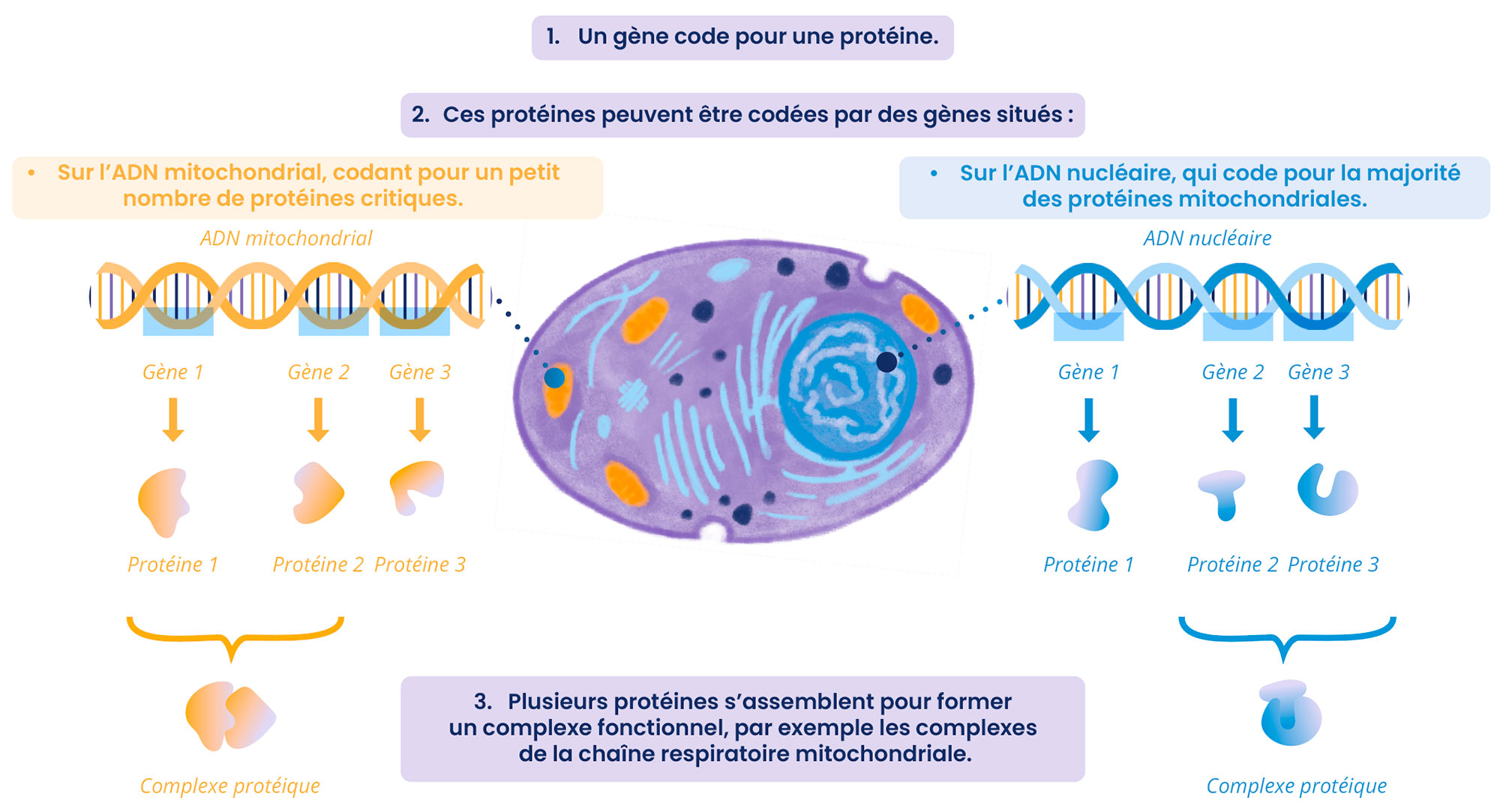 le diagnostic C les examens de biologie specialisee